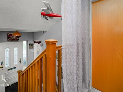 Picture 24